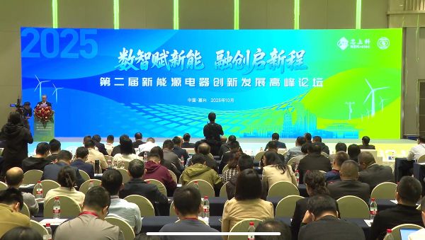 第二届新能源电器创新发展高峰论坛